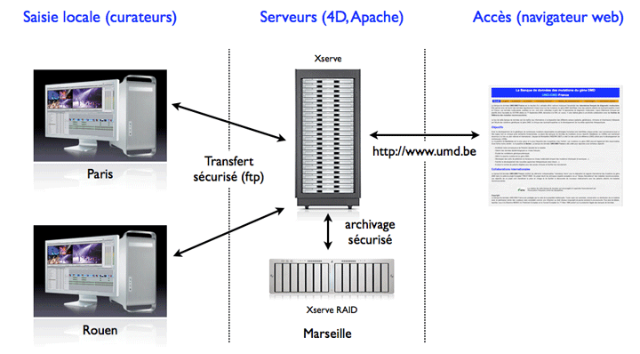 Architecture du système